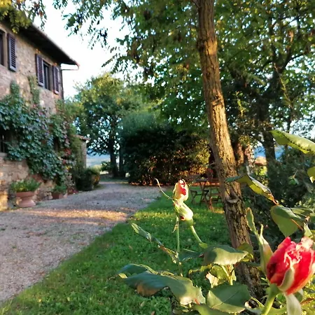 Casa Gioia *