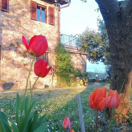 Casa Gioia *